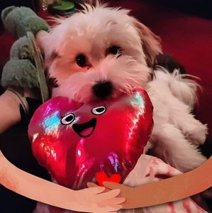 Meet your Posher, Ruby